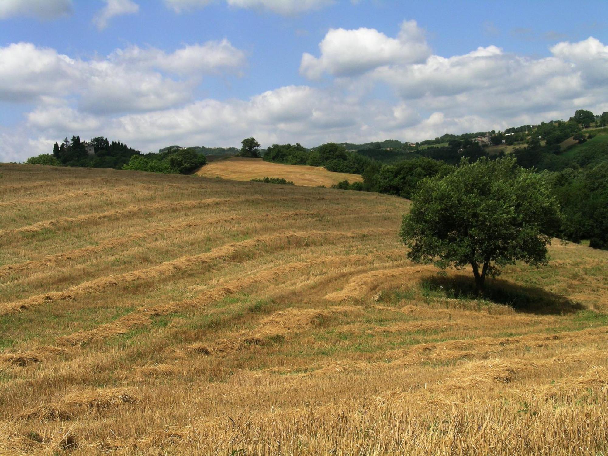 Azienda Agraria Montelujano غوبيو المظهر الخارجي الصورة
